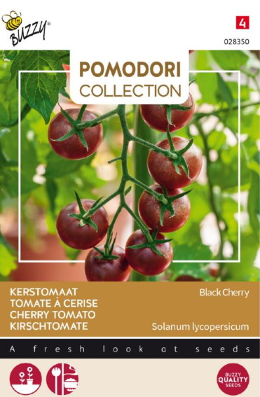 Tomaat Black Cherry (Solanum) 10 zaden BU